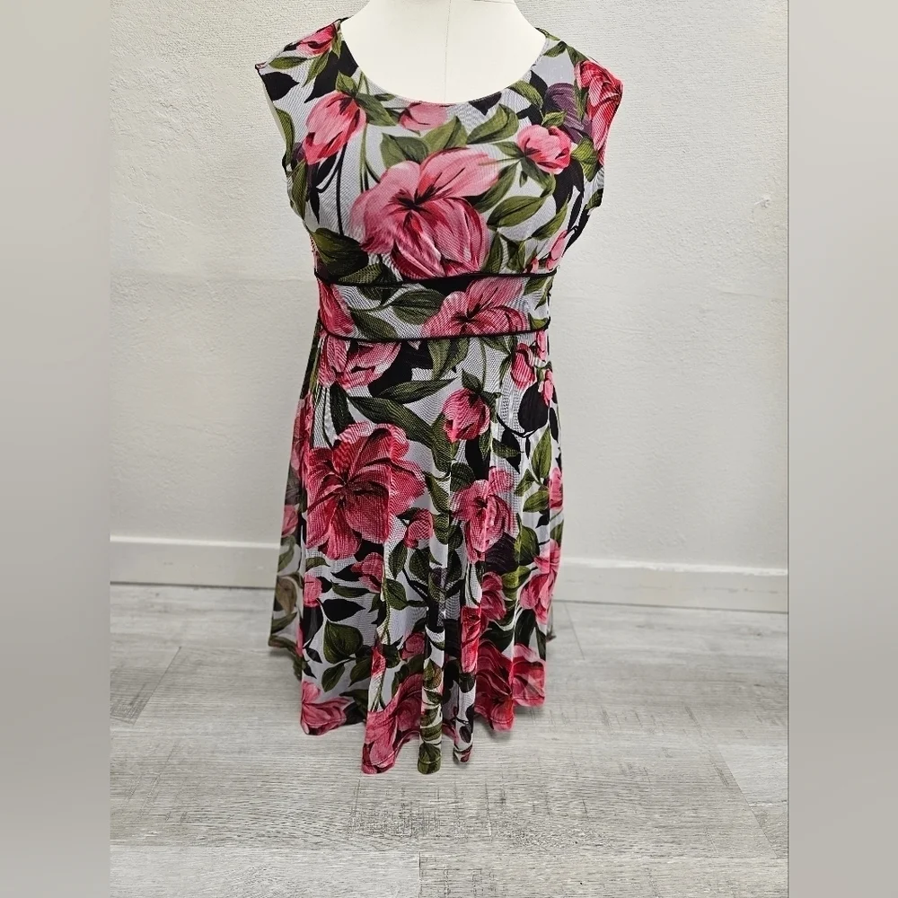 I LE NEW YORK Petite Floral Mesh Dress 14P